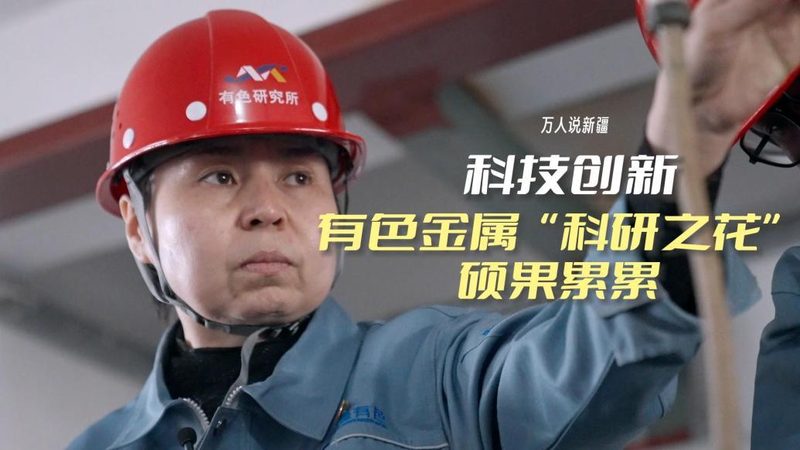 Python自动化与RPA：本质区别与适用场景解析